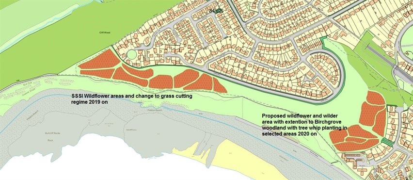 Marine Drive mapped proposed wildflower and wilder areas 2019-2021